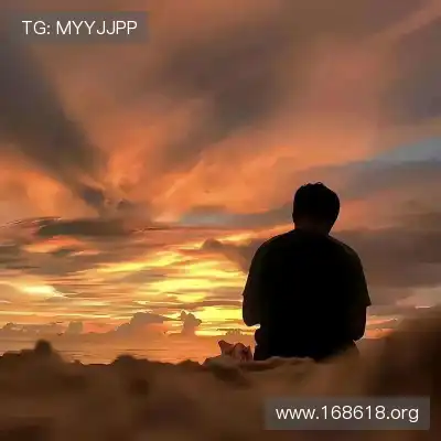 沈辉